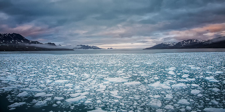 Antarctica and South Georgia Island